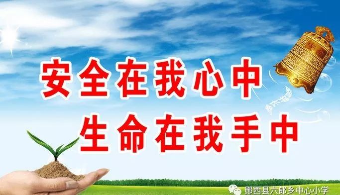 合肥危险品驾驶员最新招工公告，安全与责任并重的职业呼唤